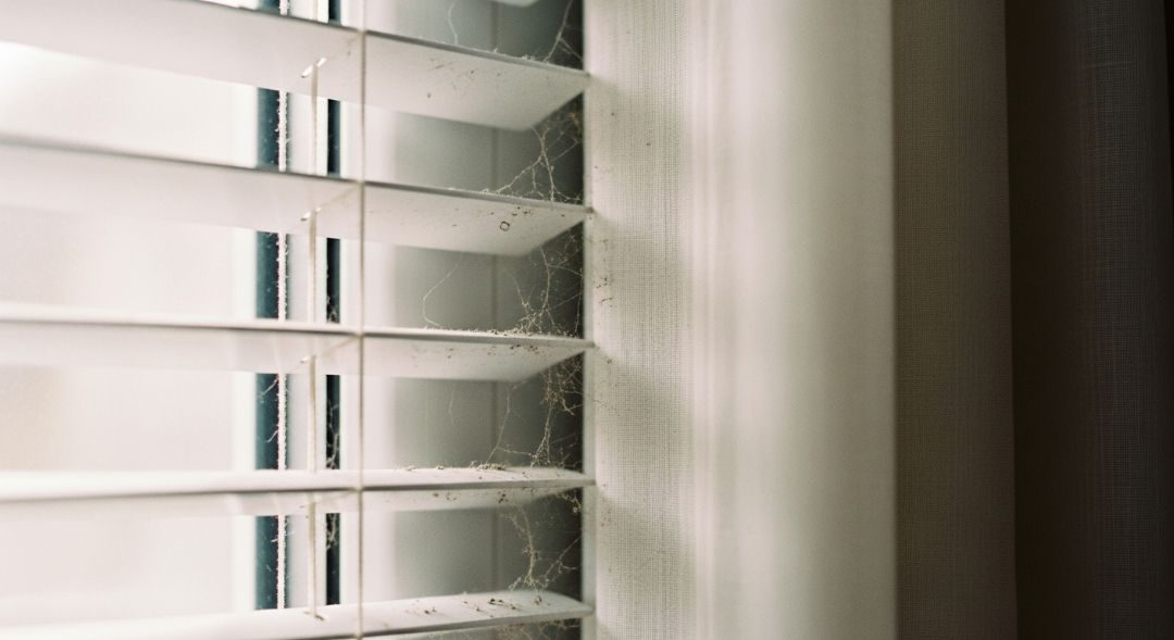 Single, Well-Chosen Curtains or Blinds