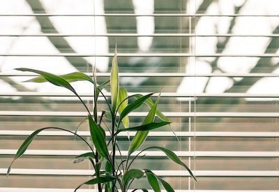 Cost vs value of blinds