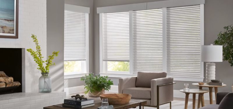 A living room with windows with dual shades for balancing natural light. Love is Blinds