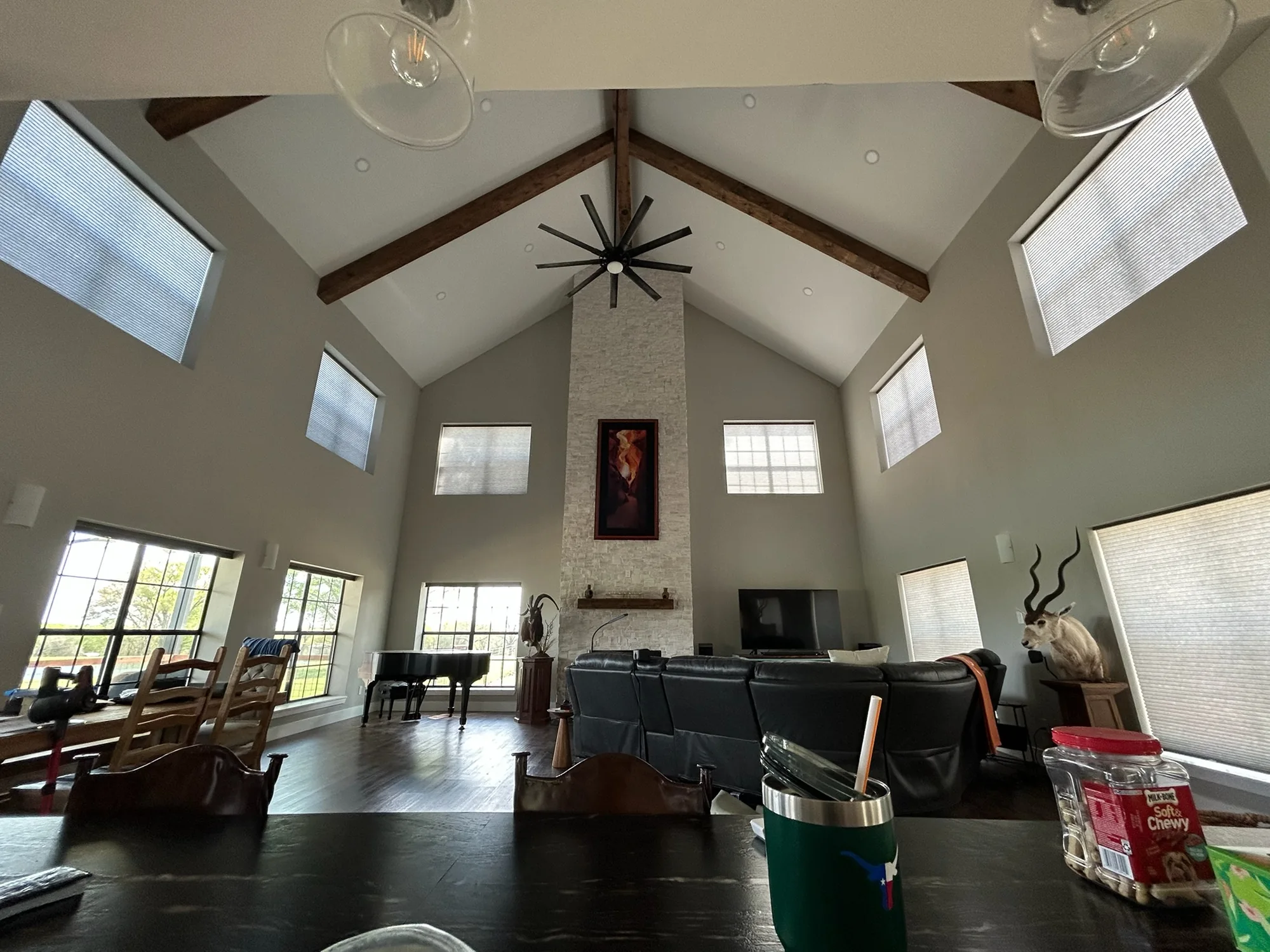 Honeycomb Shades shading a Texas room
