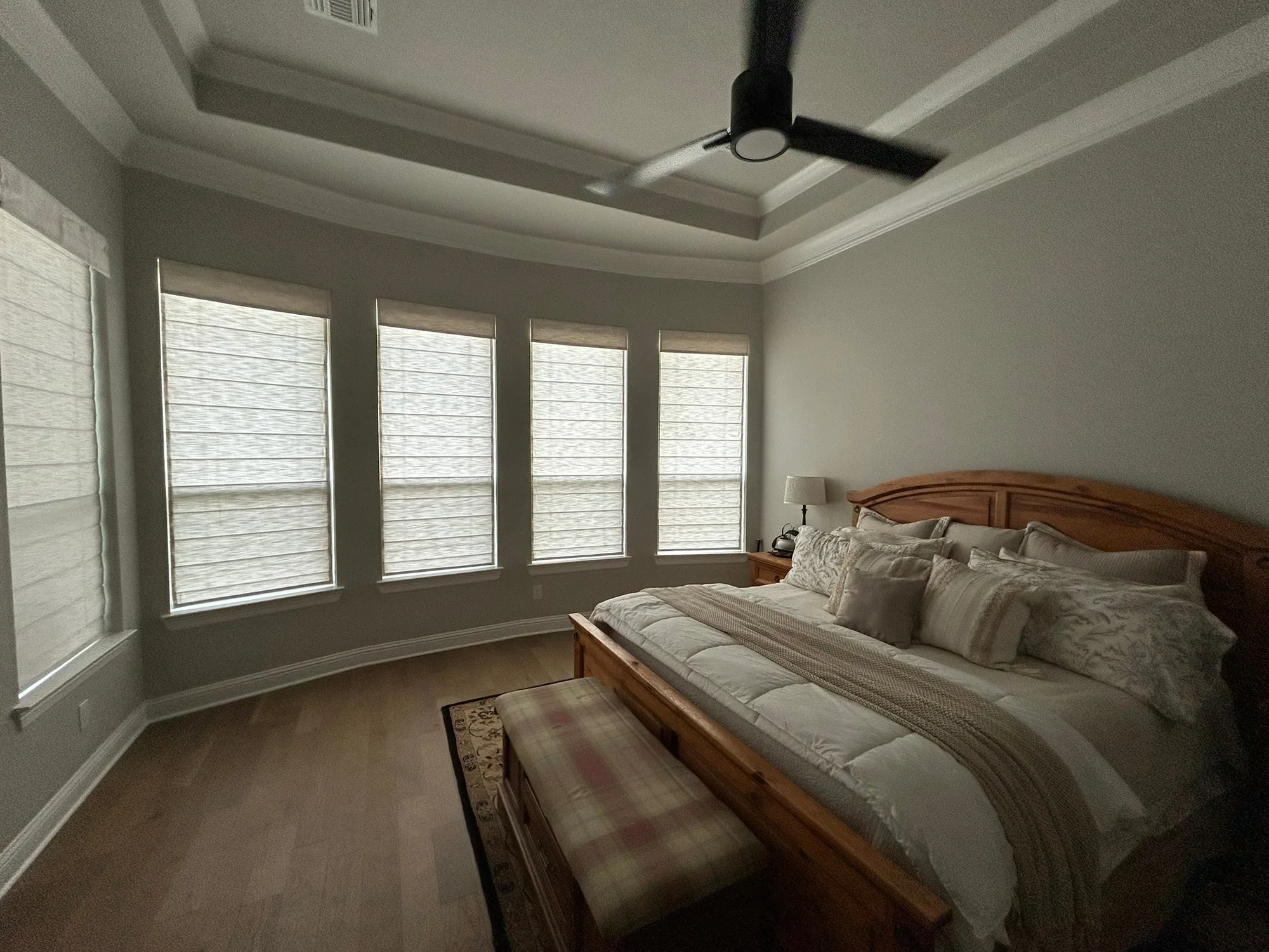Roman & Woven across a bright Texas window wall