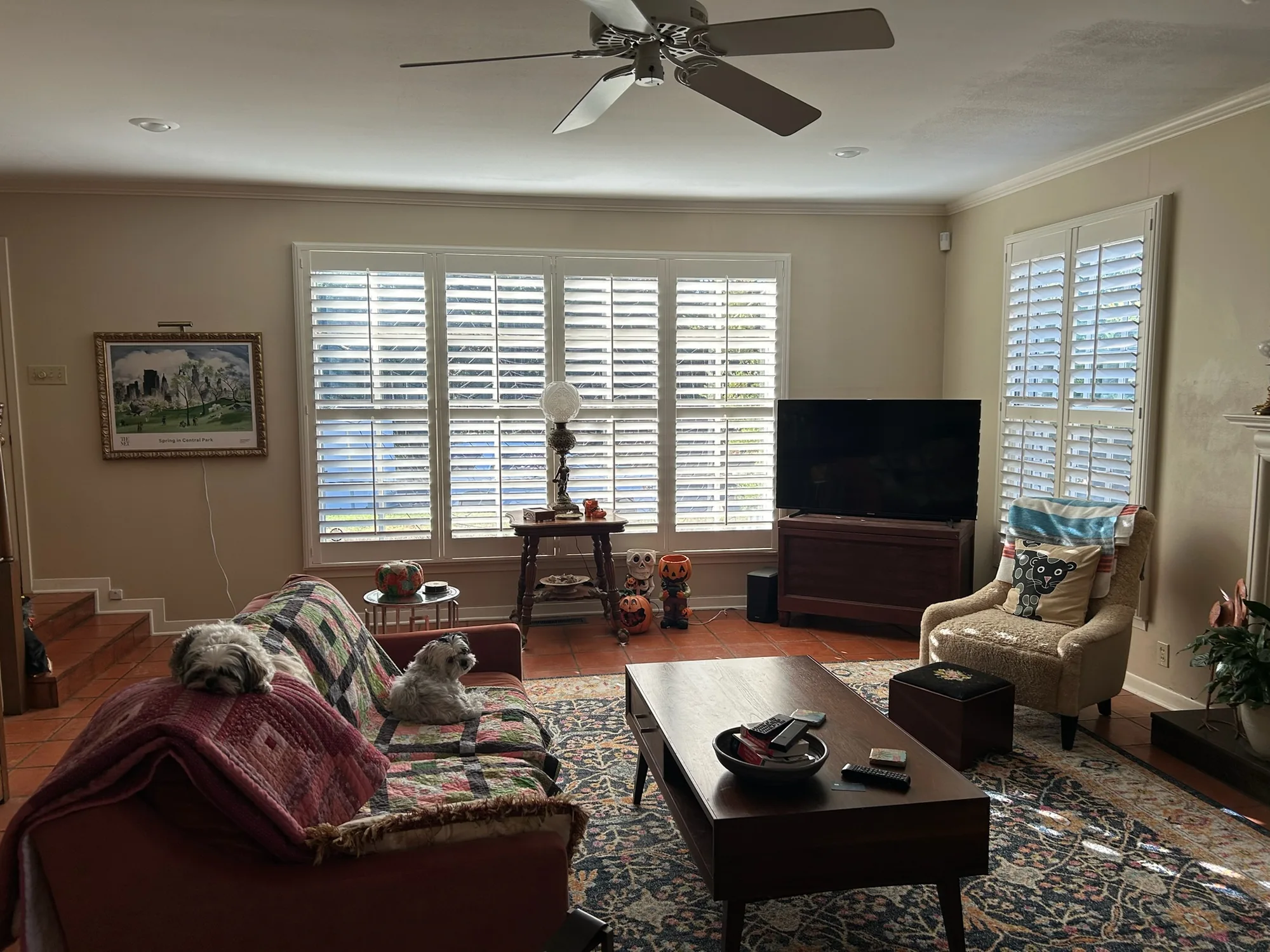 Plantation Shutters across a bright Texas window wall