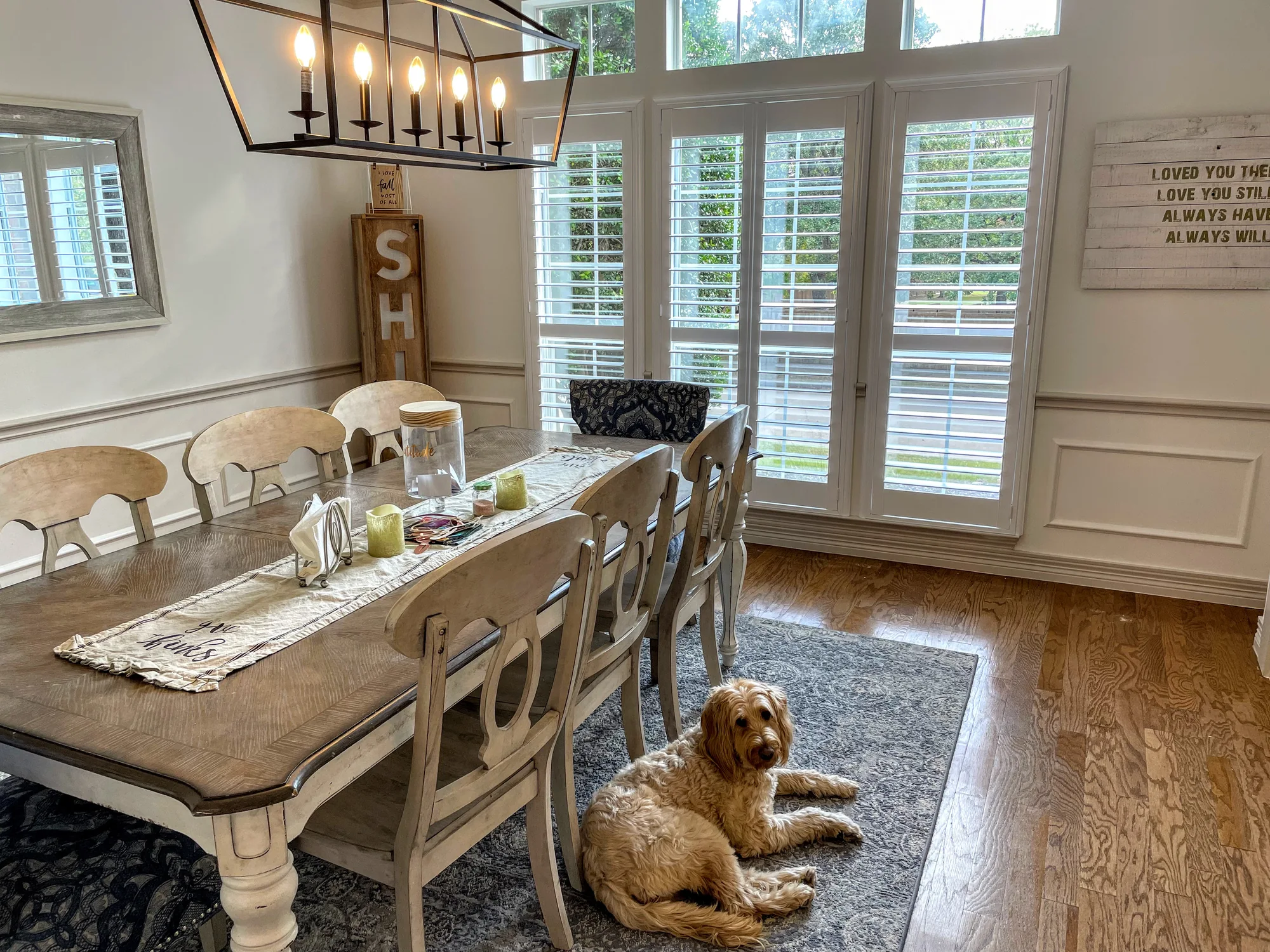 Plantation Shutters shading a Texas room